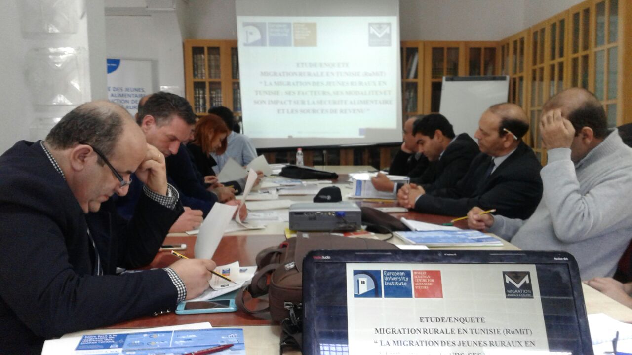 Survey workshop in Tunis, 15 December 2016